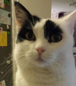 HustleandBustleSelfies