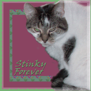 Stinky-FOREVER