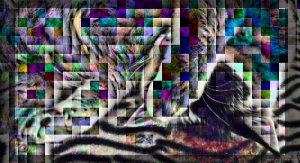 CaturdayArt2022016finish