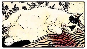 caturdayart6.2.final