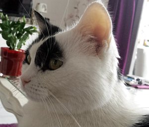 SundaySelfieGrandpaw