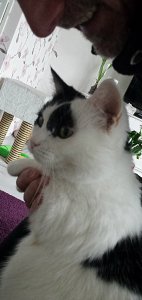 SundaySelfieGrandpaw