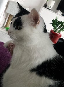 SundaySelfieGrandpaw