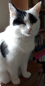 SundaySelfie1-5-2016