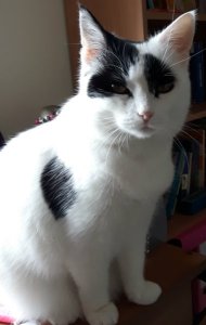 SundaySelfie1-5-2016