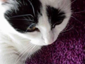 SundaySelfie10-4-2016