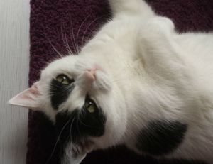 SundaySelfie10-4-2016