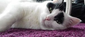 SundaySelfie10-4-2016