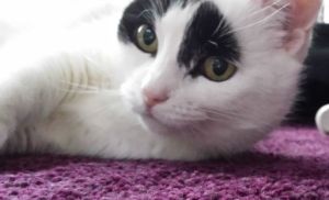 SundaySelfie10-4-2016