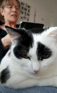 SundaySelfiePetParents