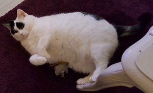 SundaySelfiesDifferentFaces