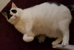 SundaySelfiesDifferentFaces