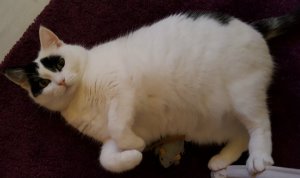 SundaySelfiesDifferentFaces