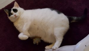 SundaySelfiesDifferentFaces