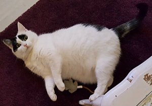 SundaySelfiesDifferentFaces