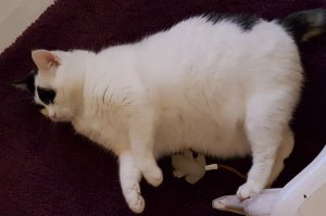 SundaySelfiesDifferentFaces