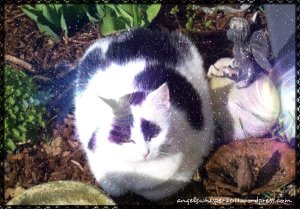 SuperPhoto_Creation_2016-04-16_114202