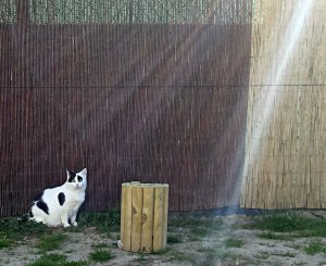 ThankfulThursday21-4-2016