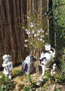 ThankfulThursday21-4-2016