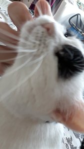 ThankfulThursday21-4-2016