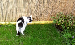 artyselfies28-5-2016