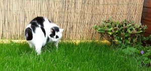 artyselfies28-5-2016