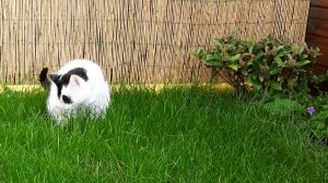 artyselfies28-5-2016