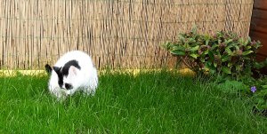 artyselfies28-5-2016