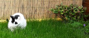 artyselfies28-5-2016