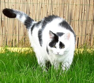 artyselfies28-5-2016