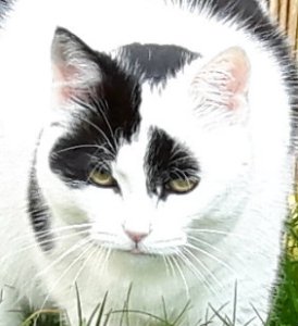 artyselfies28-5-2016