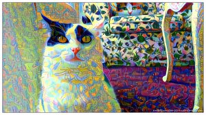 CaturdayArt21-5-2016.1