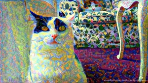 CaturdayArt21-5-2016