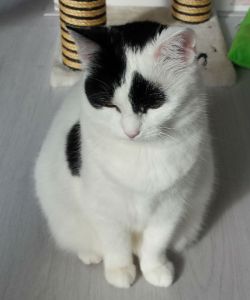 SundaySelfie15-5-2016