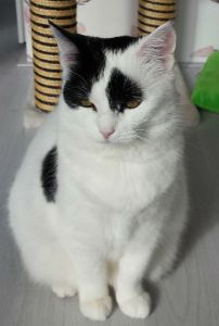 SundaySelfie15-5-2016