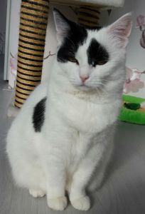 SundaySelfie15-5-2016