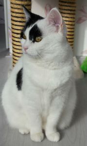 SundaySelfie15-5-2016