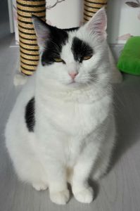 SundaySelfie15-5-2016