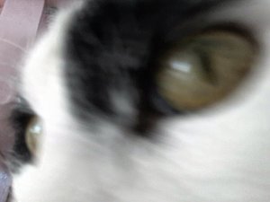 SundaySelfie15-5-2016