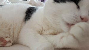 SundaySelfie22-5-2016