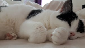 SundaySelfie22-5-2016