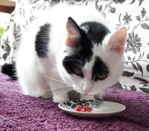 wordlesswednesday4-5-2016