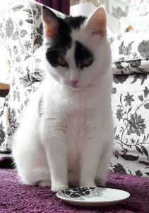 wordlesswednesday4-5-2016