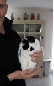 CaturdayArtFathersDay