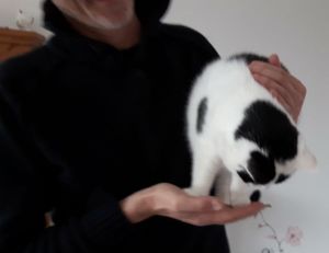 CaturdayArtFathersDay