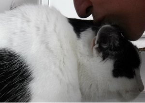 showandtellBacon30-6-2016