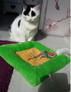 SundaySelfieMagician