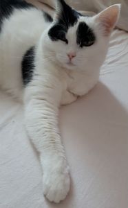 SundaySelfies5-6-2016