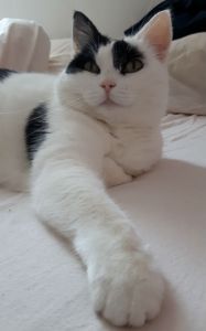 SundaySelfies5-6-2016