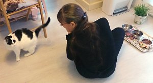 Brotherhoodoftheworldaward